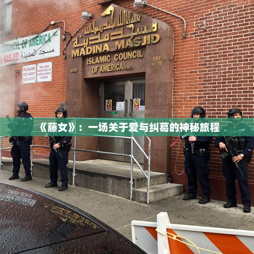 《藤女》：一场关于爱与纠葛的神秘旅程