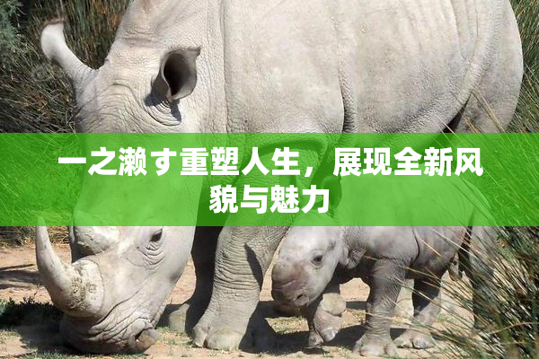 一之濑す重塑人生，展现全新风貌与魅力