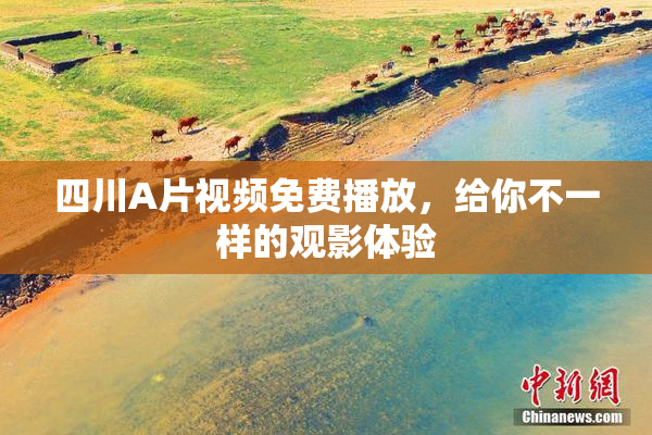 四川A片视频免费播放，给你不一样的观影体验