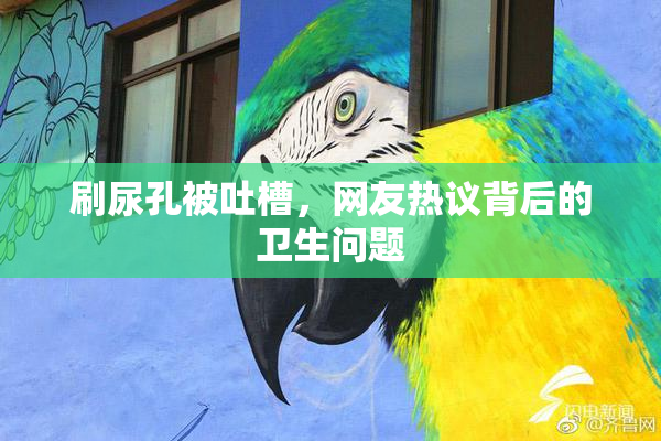 刷尿孔被吐槽，网友热议背后的卫生问题