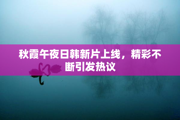 秋霞午夜日韩新片上线，精彩不断引发热议