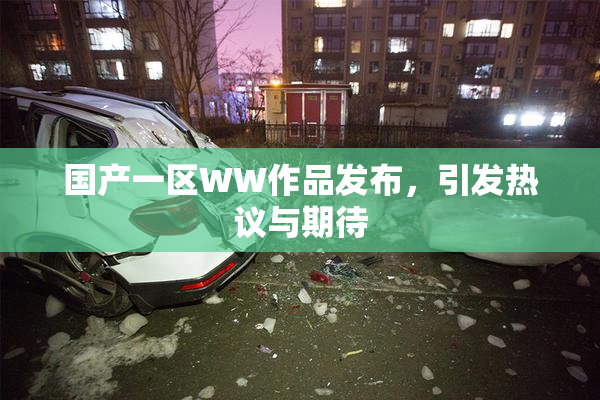 国产一区WW作品发布，引发热议与期待