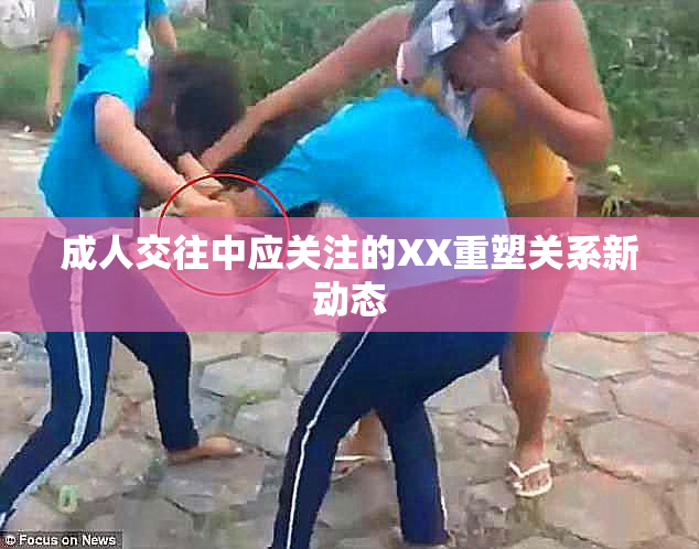 成人交往中应关注的XX重塑关系新动态