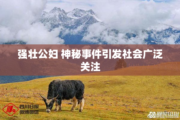 强壮公妇 神秘事件引发社会广泛关注