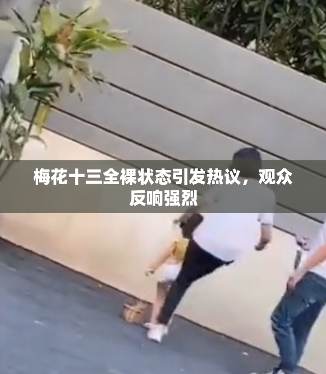 梅花十三全裸状态引发热议，观众反响强烈