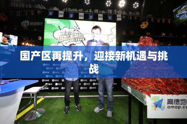 国产区再提升，迎接新机遇与挑战