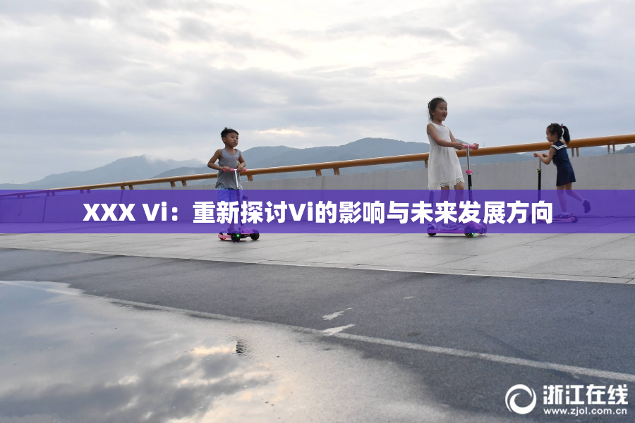 XXX Vi：重新探讨Vi的影响与未来发展方向