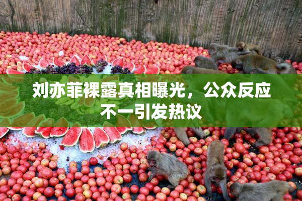 刘亦菲裸露真相曝光，公众反应不一引发热议