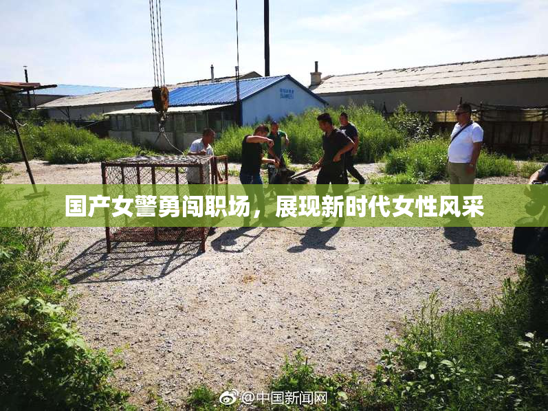 国产女警勇闯职场，展现新时代女性风采