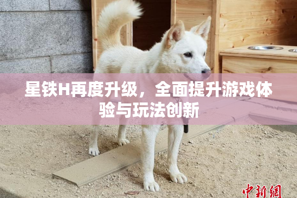星铁H再度升级，全面提升游戏体验与玩法创新