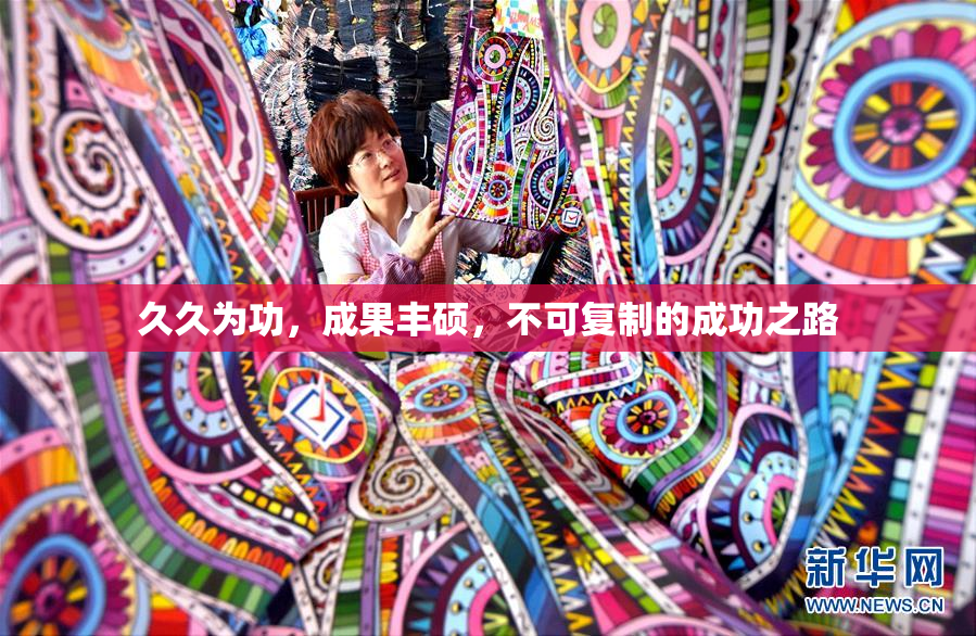 久久为功，成果丰硕，不可复制的成功之路