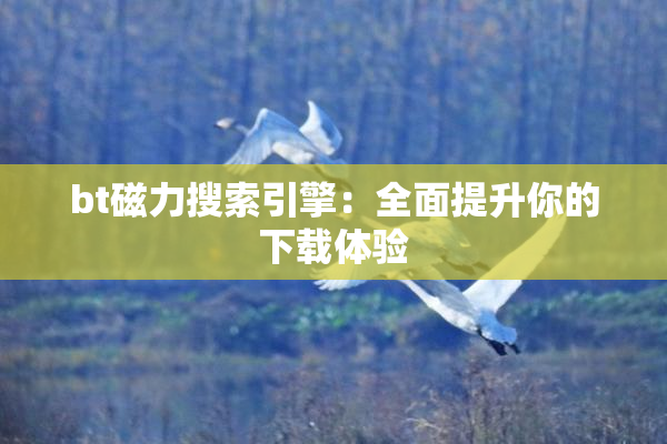 bt磁力搜索引擎：全面提升你的下载体验