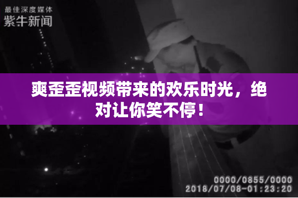 爽歪歪视频带来的欢乐时光，绝对让你笑不停！