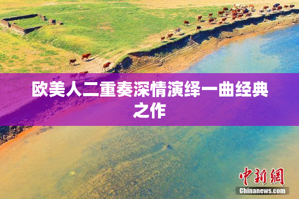 欧美人二重奏深情演绎一曲经典之作