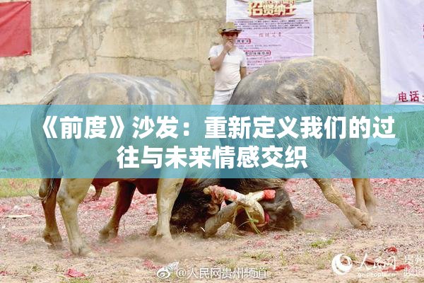 《前度》沙发：重新定义我们的过往与未来情感交织