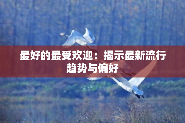 最好的最受欢迎：揭示最新流行趋势与偏好
