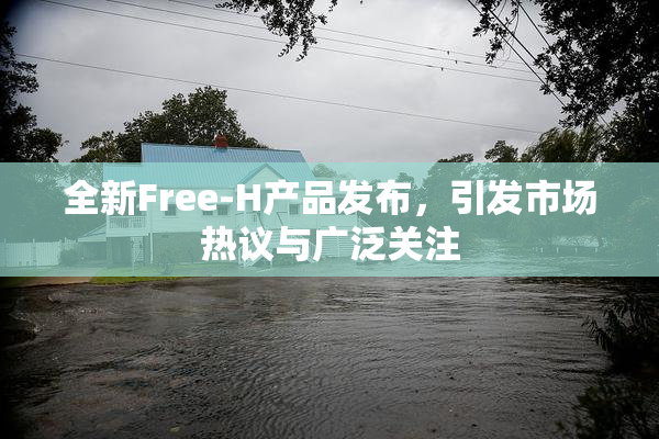 全新Free-H产品发布，引发市场热议与广泛关注