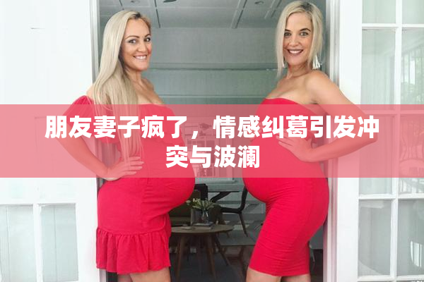 朋友妻子疯了，情感纠葛引发冲突与波澜