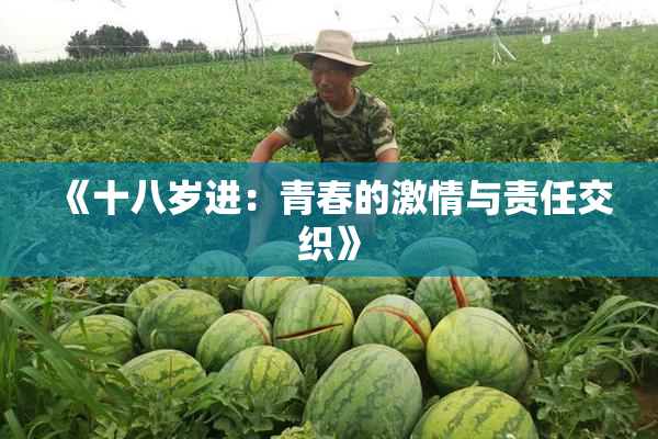 《十八岁进：青春的激情与责任交织》