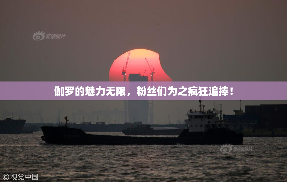 伽罗的魅力无限，粉丝们为之疯狂追捧！