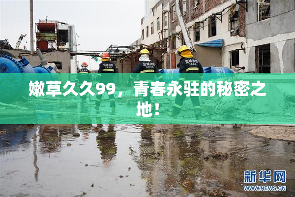 嫩草久久99，青春永驻的秘密之地！