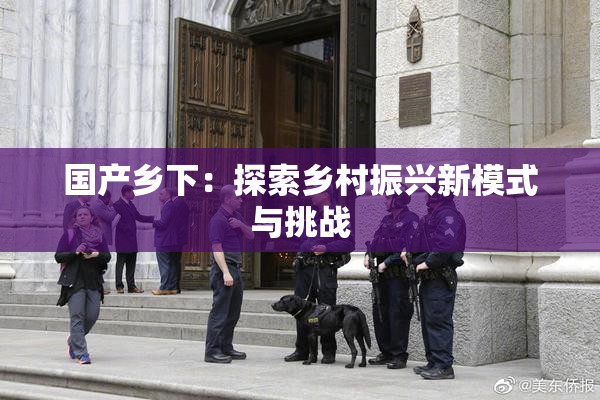 国产乡下：探索乡村振兴新模式与挑战