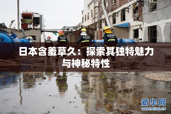 日本含羞草久：探索其独特魅力与神秘特性