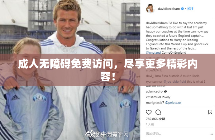 成人无障碍免费访问，尽享更多精彩内容！