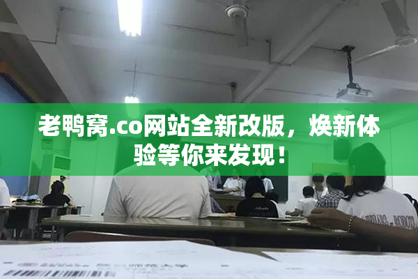 老鸭窝.co网站全新改版，焕新体验等你来发现！