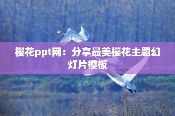 樱花ppt网：分享最美樱花主题幻灯片模板