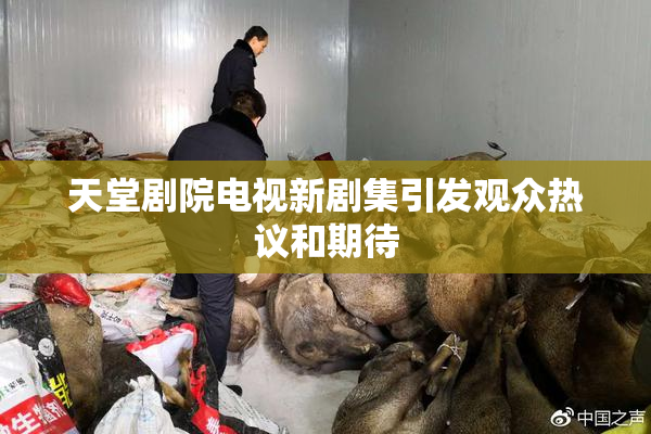 天堂剧院电视新剧集引发观众热议和期待