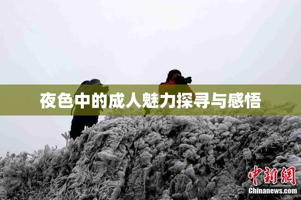 夜色中的成人魅力探寻与感悟
