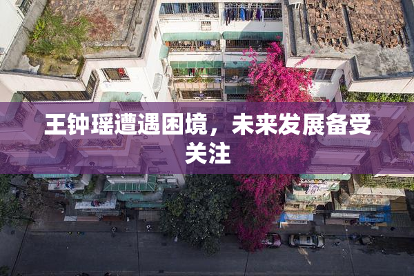 王钟瑶遭遇困境，未来发展备受关注