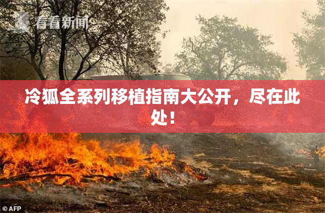冷狐全系列移植指南大公开，尽在此处！