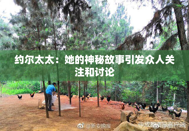 约尔太太：她的神秘故事引发众人关注和讨论