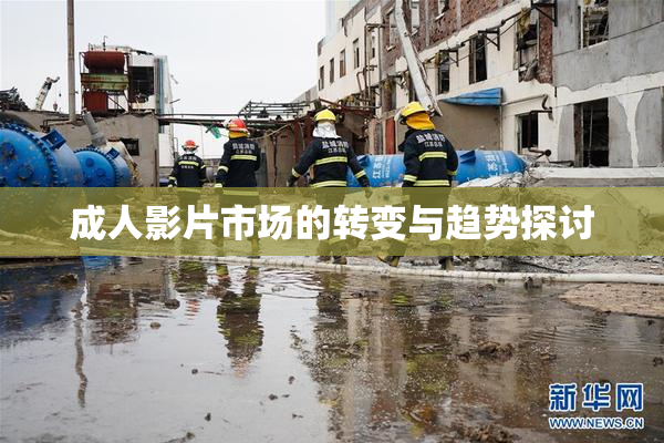 成人影片市场的转变与趋势探讨