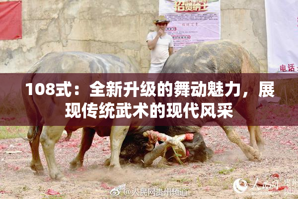 108式：全新升级的舞动魅力，展现传统武术的现代风采