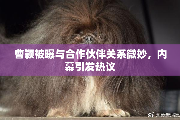 曹颖被曝与合作伙伴关系微妙，内幕引发热议