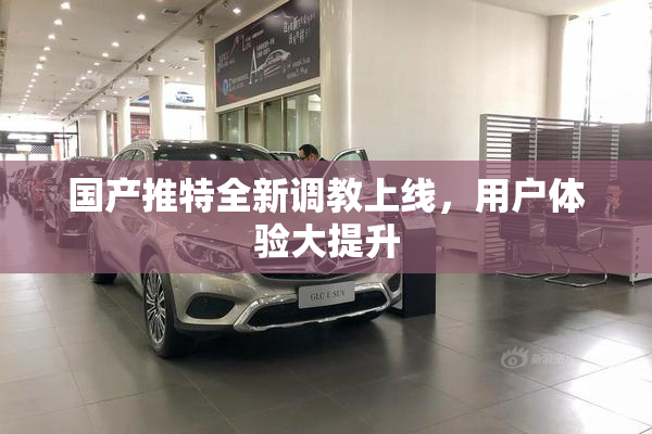 国产推特全新调教上线，用户体验大提升