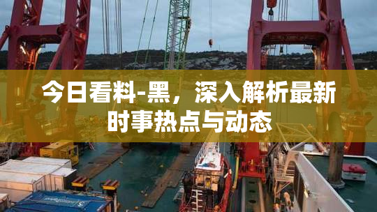 今日看料-黑，深入解析最新时事热点与动态