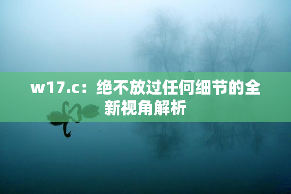 w17.c：绝不放过任何细节的全新视角解析