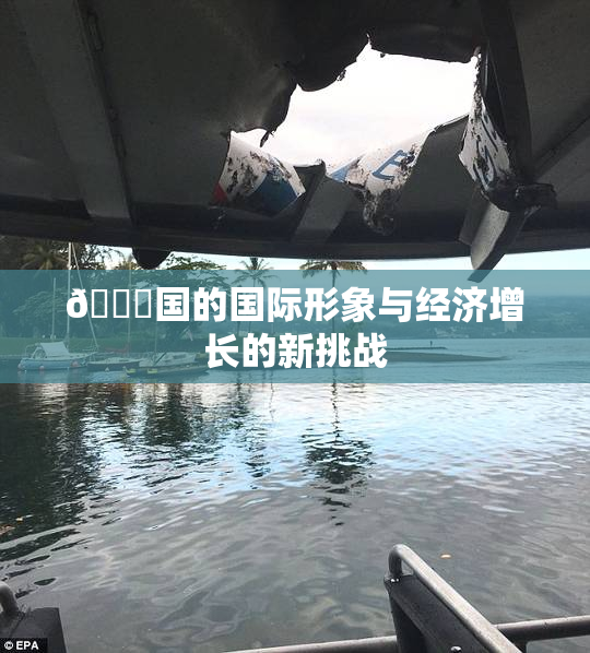 🔞国的国际形象与经济增长的新挑战