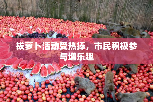 拔萝卜活动受热捧，市民积极参与增乐趣