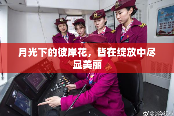 月光下的彼岸花，皆在绽放中尽显美丽