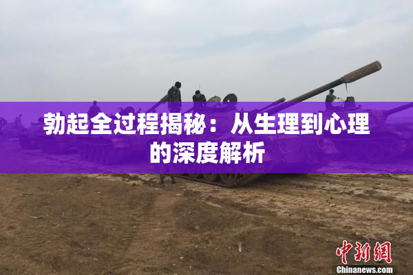 勃起全过程揭秘：从生理到心理的深度解析