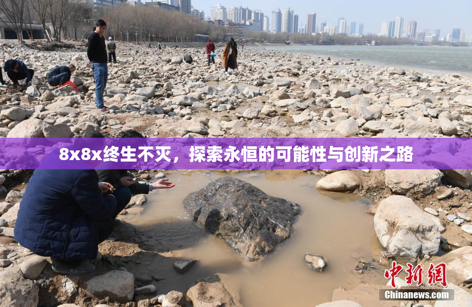 8x8x终生不灭，探索永恒的可能性与创新之路