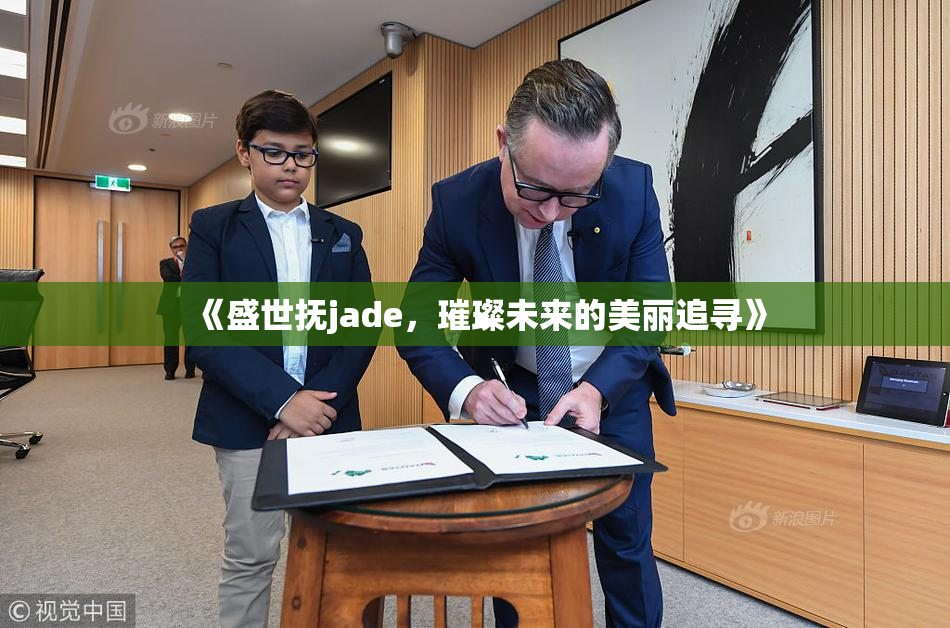 《盛世抚jade，璀璨未来的美丽追寻》