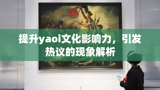 提升yaoi文化影响力，引发热议的现象解析