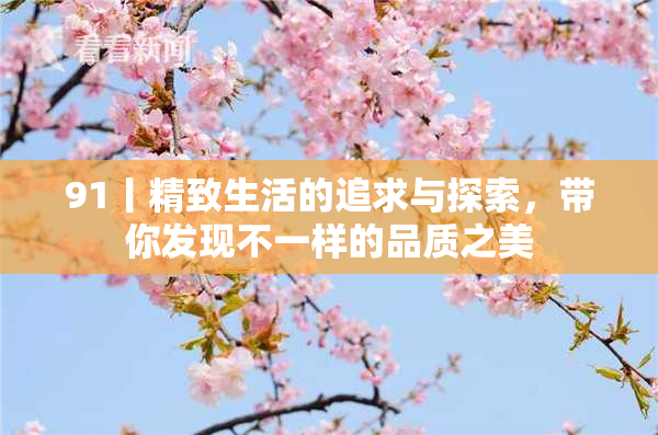 91丨精致生活的追求与探索，带你发现不一样的品质之美