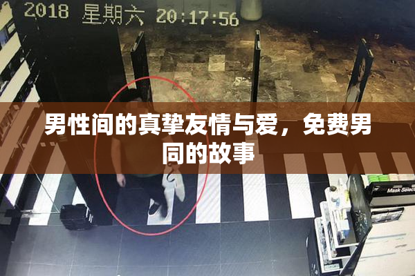 男性间的真挚友情与爱，免费男同的故事